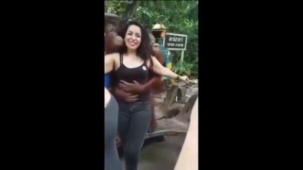 Где сиськи?