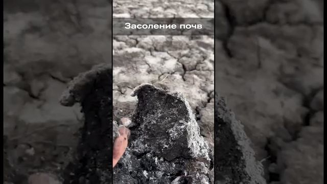 Засоление почв смотреть онлайн