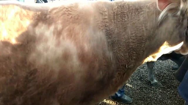 Наманган Учкурган Кугай дехкон бозори