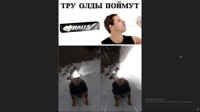 Лютые приколы.Шпора на экзамен! смотреть онлайн