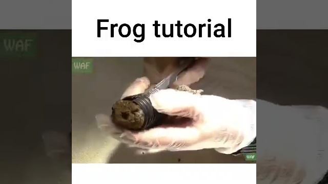 Toad sushi how to make смотреть онлайн