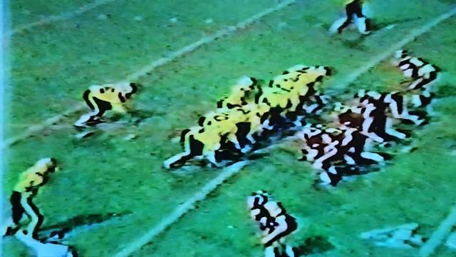 Paul Nickel-Westerville North 33 Upper Arlington 12 1988 playoffs.Music is not mine & not used for смотреть онлайн