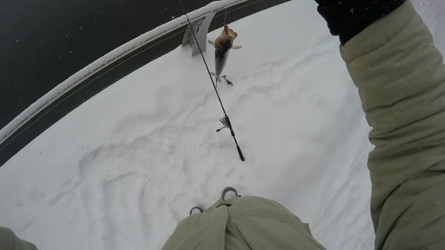 18+Открытие зимнего сезона 2016.Спиннинг.Отводной поводок.Окунь.Рыбалка в городе .Москва-река. смотреть онлайн