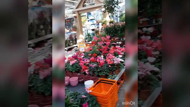 ОБИ МКАД 13 км. смотреть онлайн