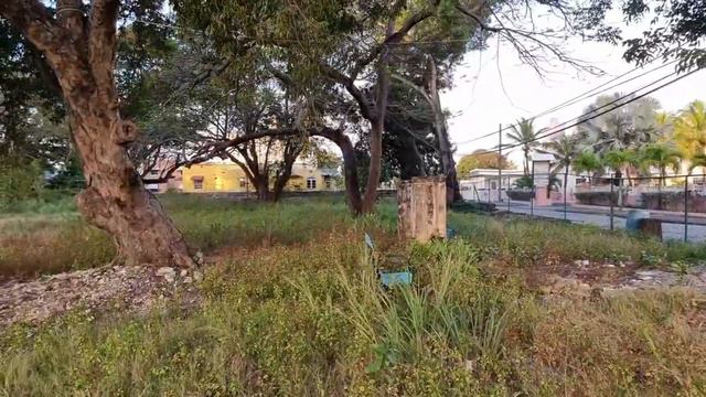 January 24, 2023 - Maxwell Beach to Casuarina via Bougainvillea with J (Live) смотреть онлайн