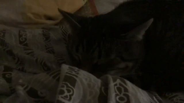 Как правильно обижалась 3 апреля 2022 г. смотреть онлайн