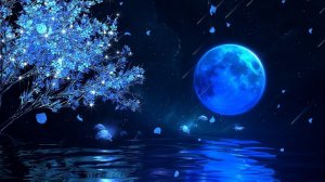 Музыка для сна, мягкая фортепианная музыка и исцеляющая музыка. Music for sleep #2