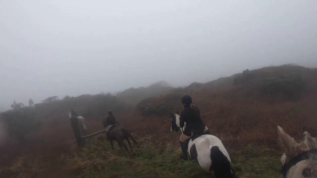 Hunting with the Western Trail Hunt March 2024 Madron смотреть онлайн