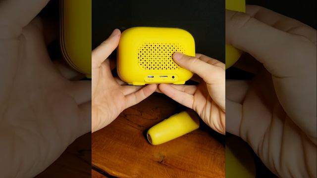 Беспроводная караоке колонка с микрофоном для детей смотреть онлайн