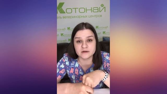 Акне у кошек смотреть онлайн