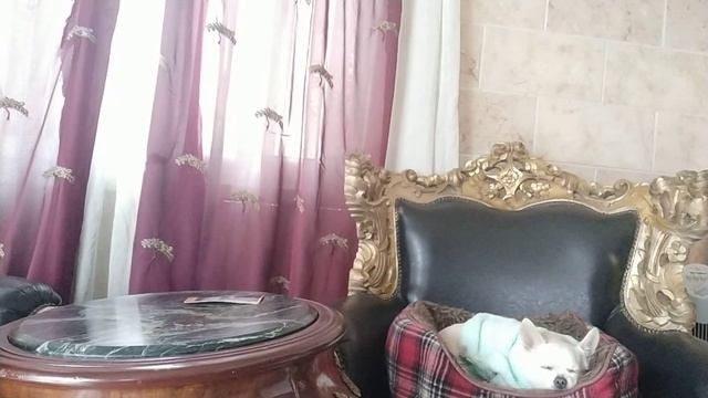 #Гадание #Оракул смотреть онлайн