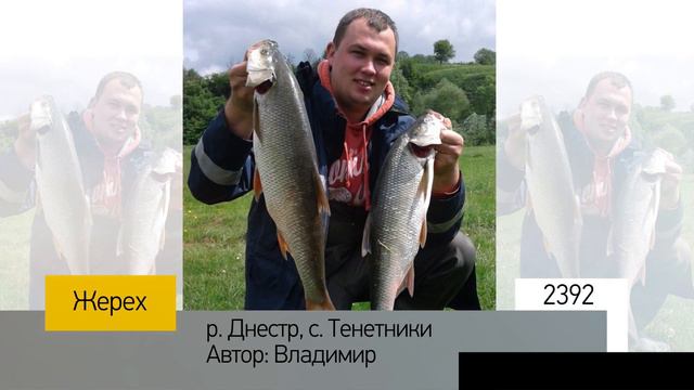 Фотоальбом - Рыбалка №478 смотреть онлайн