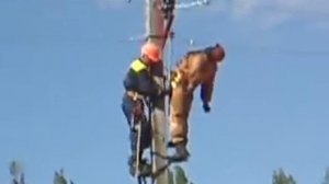 Снятие пострадавшего с опоры