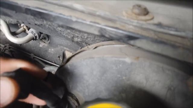 Уникальные акценты