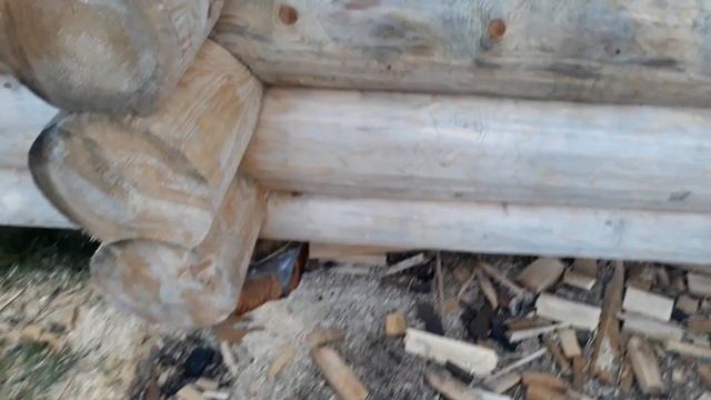 рубка сруба в чашу смотреть онлайн