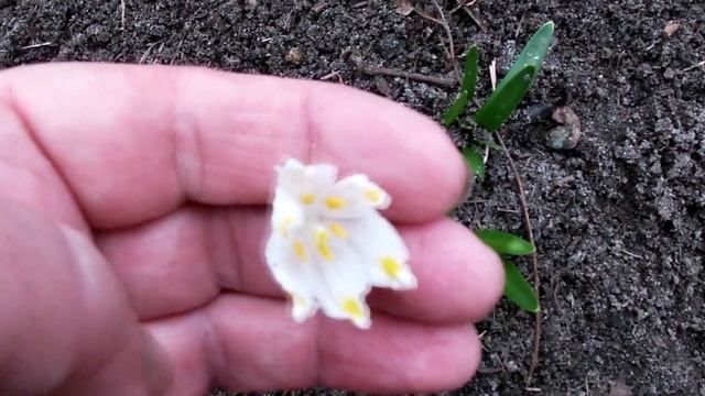 Наша весна. смотреть онлайн