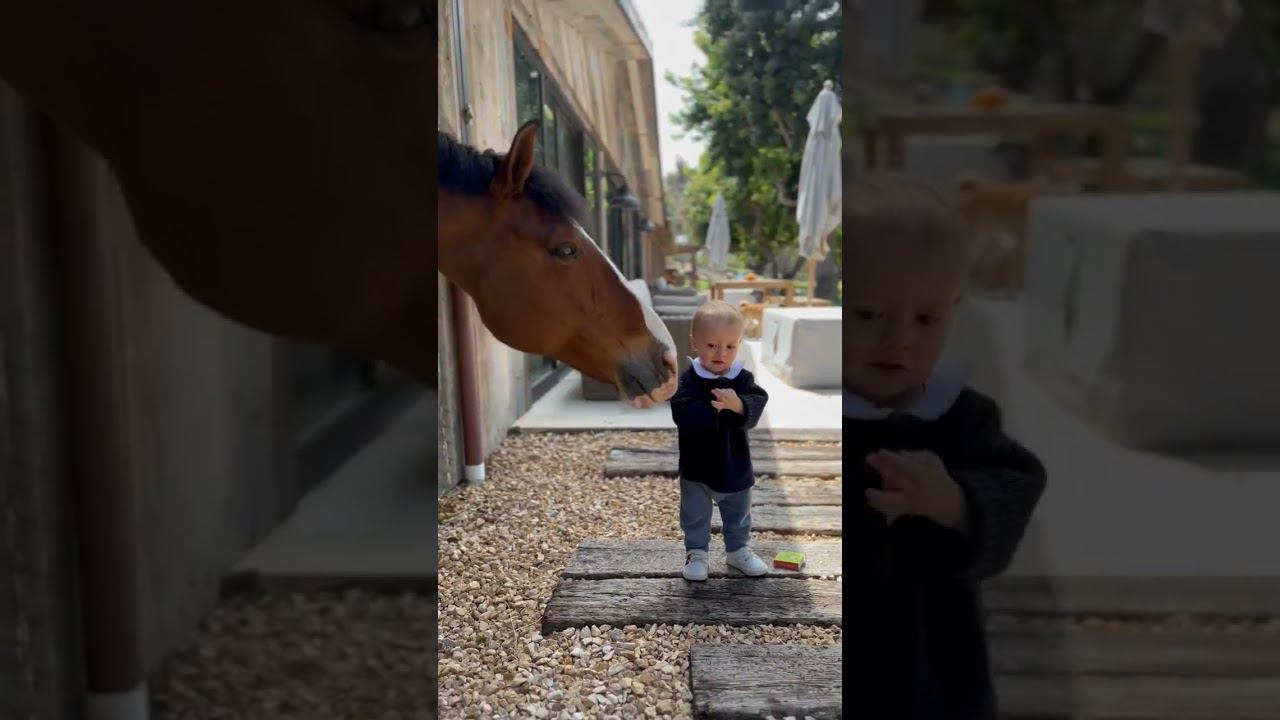 respect 2208240542 #asmr #remix #kids #travel смотреть онлайн