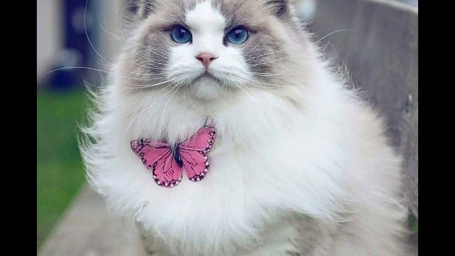 Как найти идеал И Вайсерберг смотреть онлайн