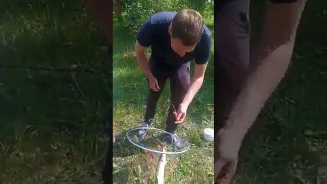 Стерлядь есть! смотреть онлайн