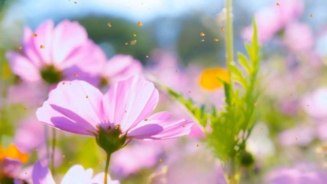 Расслабляющая музыка для сна для снятия стресса - музыка для медитации, расслабляющая музыка смотреть онлайн