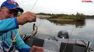 Ловля окуня на поппер Megabass