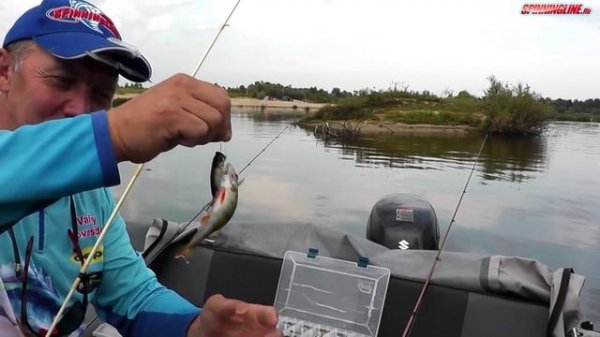 Ловля окуня на поппер Megabass