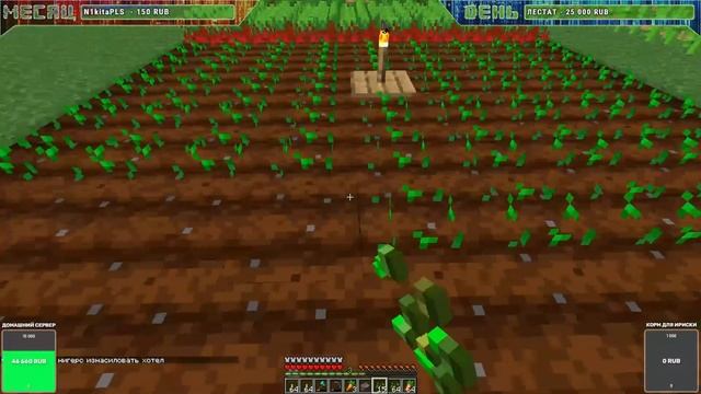 НАБОР ИГРОКОВ НА СЕРВЕР MINECRAFT 1.16.4 JAVA BEDROCK смотреть онлайн