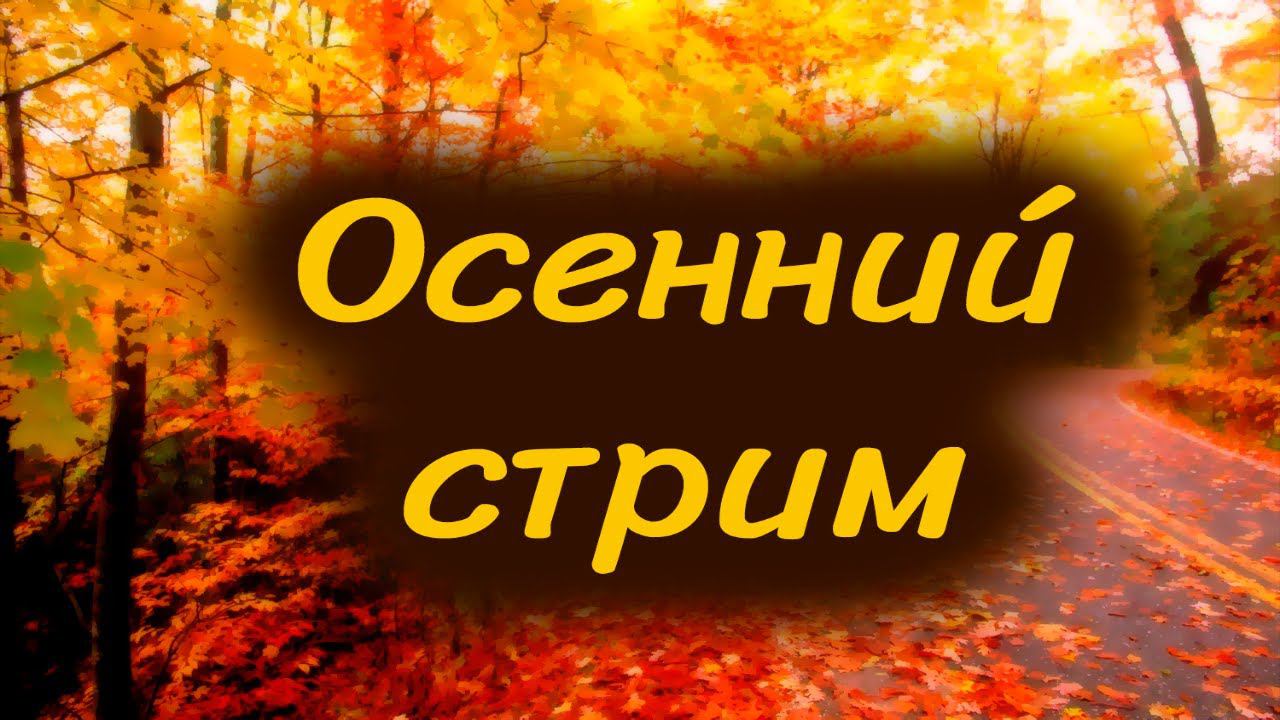 СТРИМ смотреть онлайн