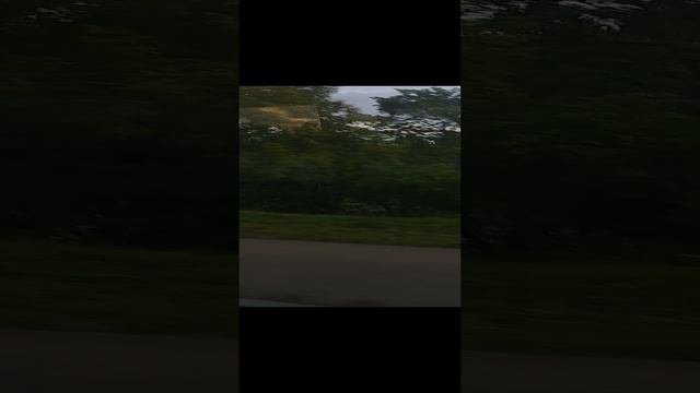 20230724_Москва из окна автобуса от Пражской смотреть онлайн