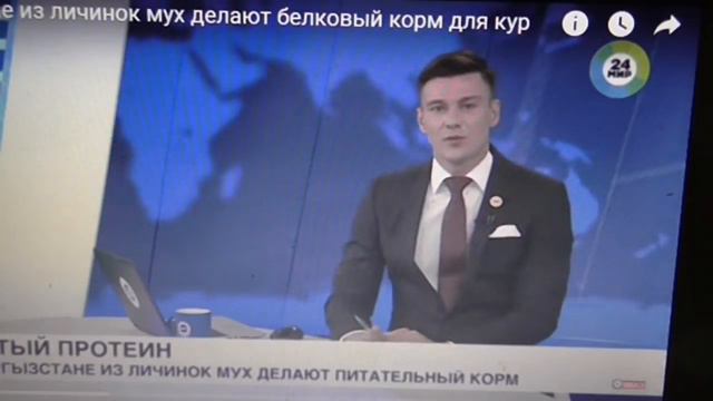 Рыбалка на перилах" Корнейчука ."Карась пошел .1 МАЯ 21 г.Запорожье смотреть онлайн