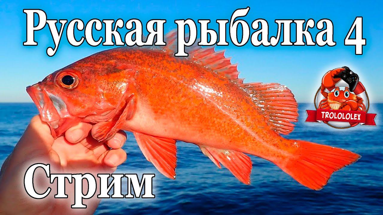 Русская рыбалка 4. Субботний вечерний стрим смотреть онлайн