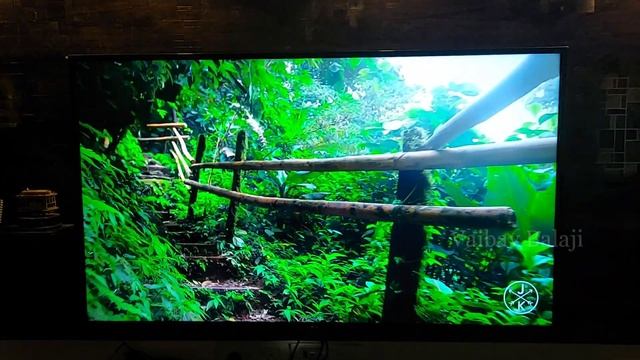 LG UM72 55 (139.7cm) 4K Smart UHD TV | 55UM7290PTD | LG 55 Inch 4k Tv Tamil