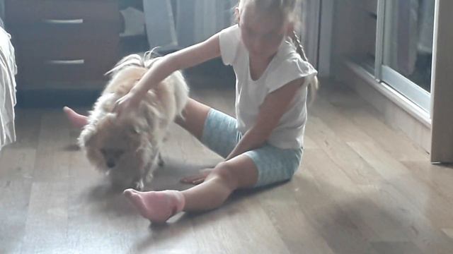 Юльчик и Ласка смотреть онлайн