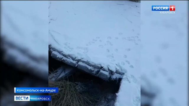 Полицейские разыскивают подростков, которые, как предполагают очевидцы, сожгли будку с собакой смотреть онлайн