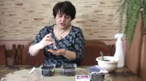 Маттиола(Левкой). Посев матиолы