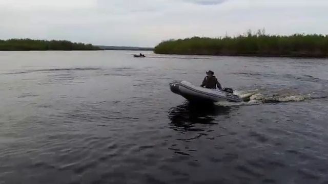 Suzuki df15 a vs mercury 15 мультируль смотреть онлайн