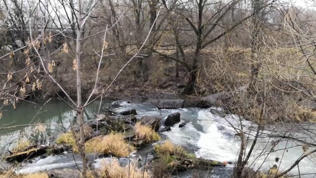 «Мамаша, подвинься» - сын познакомил родителей с женой, а потом она учудила такое, отчего прошиб по смотреть онлайн