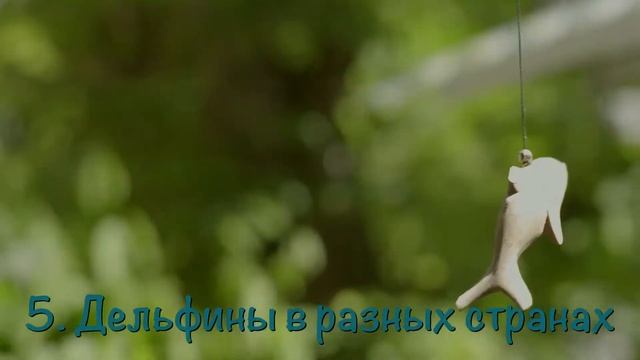 Удивительные ДЕЛЬФИНЫ: ДРУЖАТ с АКУЛАМИ? смотреть онлайн