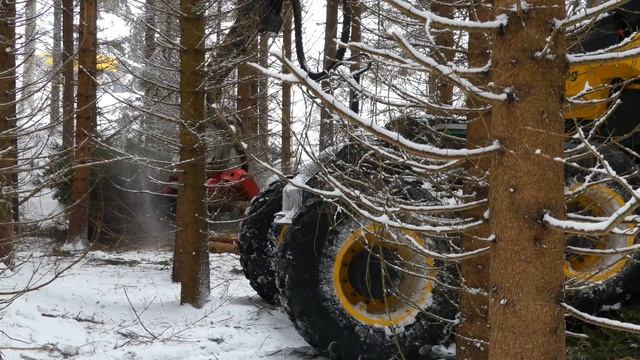 Demo av EcoLog 560E skördare och 574E skotare i gallring смотреть онлайн
