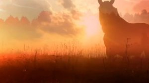 Выйду в поле с конем