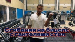 Бицепс. Сгибания на бицепс с гантелями стоя