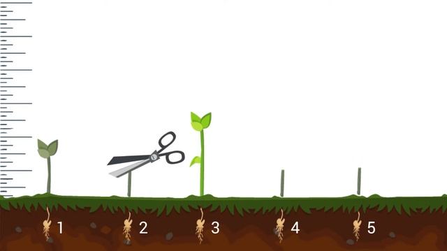 Kojto.com - "Управление на фирма" смотреть онлайн