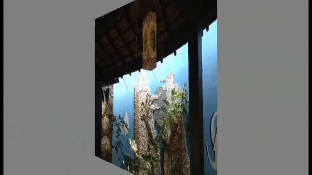 Cafe Mimosa , Hằng ... смотреть онлайн