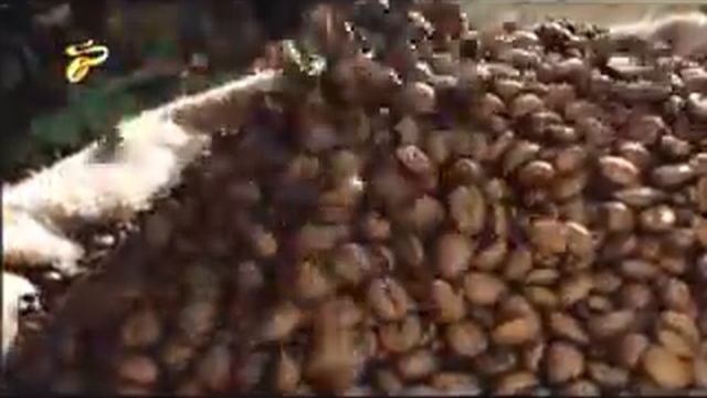 Реклама Tchibo: 100% арабики в кофе Чибо Эксклюзив