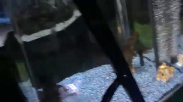 океанариум в Лоо смотреть онлайн