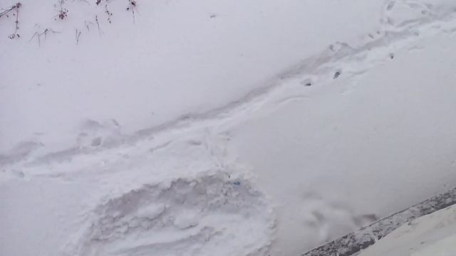 Кемерово огромная снежная шапка смотреть онлайн