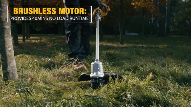 DCMST561 DEWALT 18V XR String Trimmer