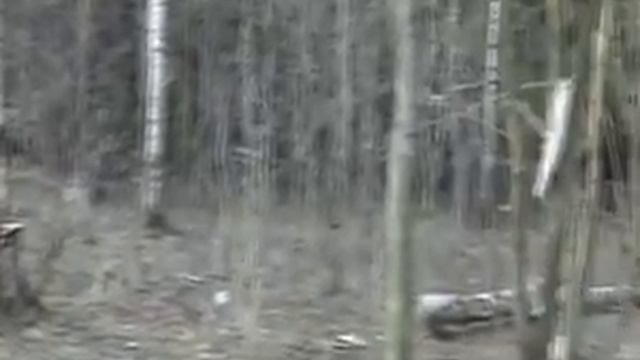Зона отдыха Мазуринское озеро сегодня 16.24.26_2.avi смотреть онлайн