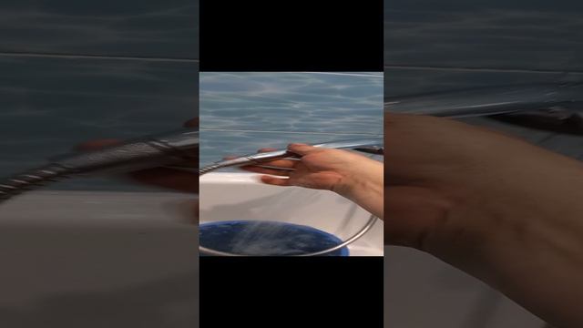 Большая СемьЯ