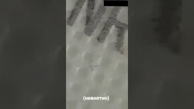 ВСЯ ПРАВДА ОБ ОДНОРАЗОВЫХ МАСКАХ!!! ЧЕРВИ НА МАСКАХ смотреть онлайн